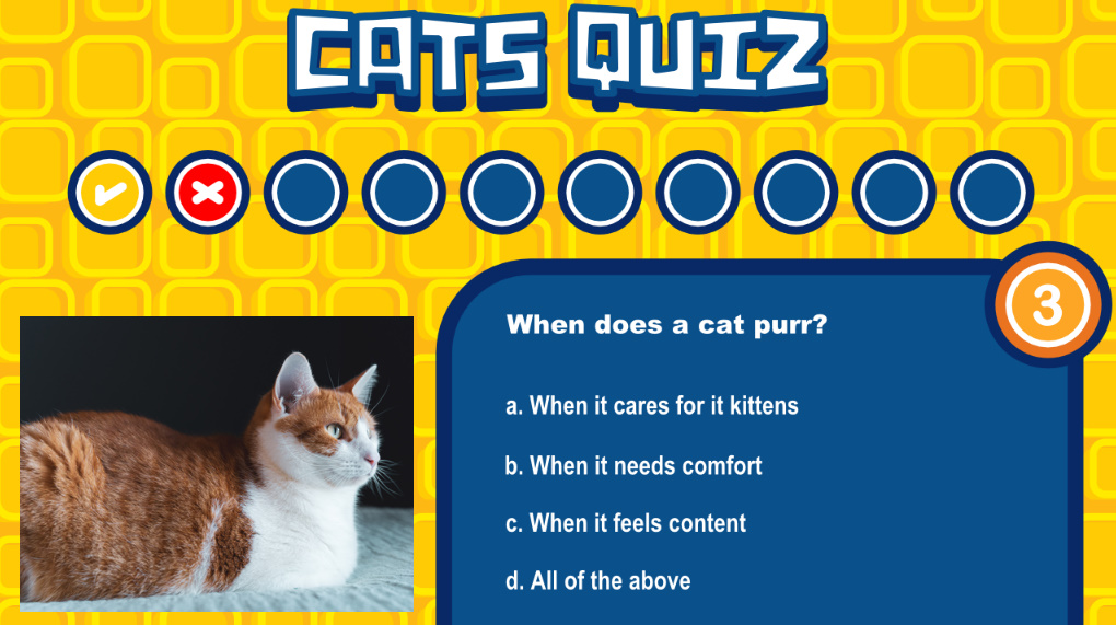 Cats Quiz HTML5 Game Educational Games by NubiaStudio CodeCanyon